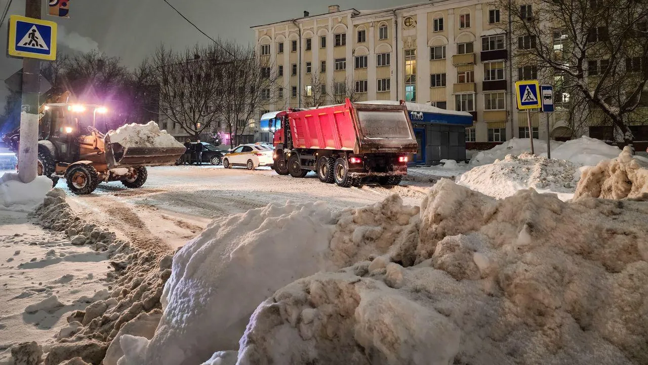 МедиаБанк Подмосковья/Мария Андрюхина
