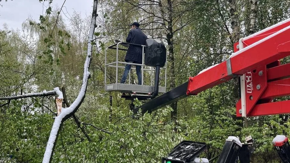 Фото: администрация Одинцовского городского округа