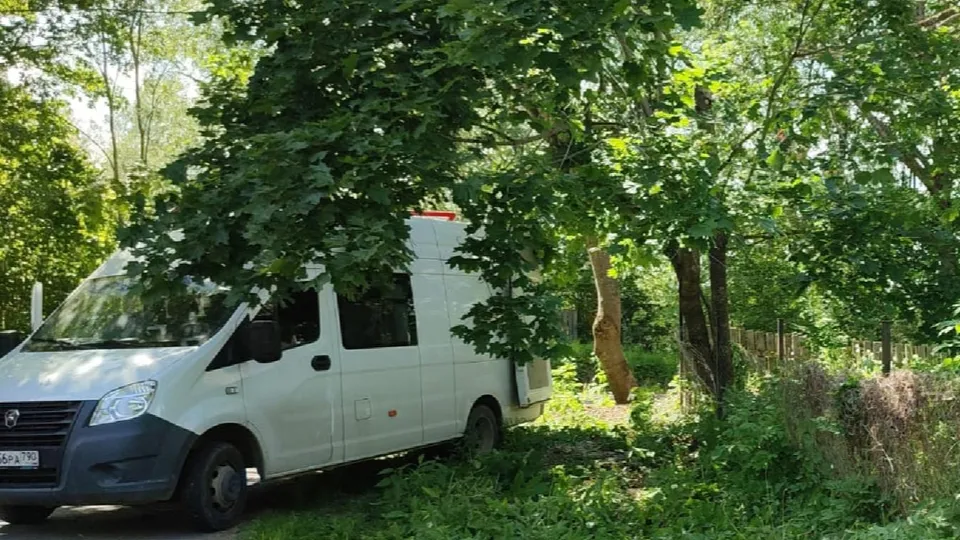 Фото: пресс-служба администрации м.о. Шаховская