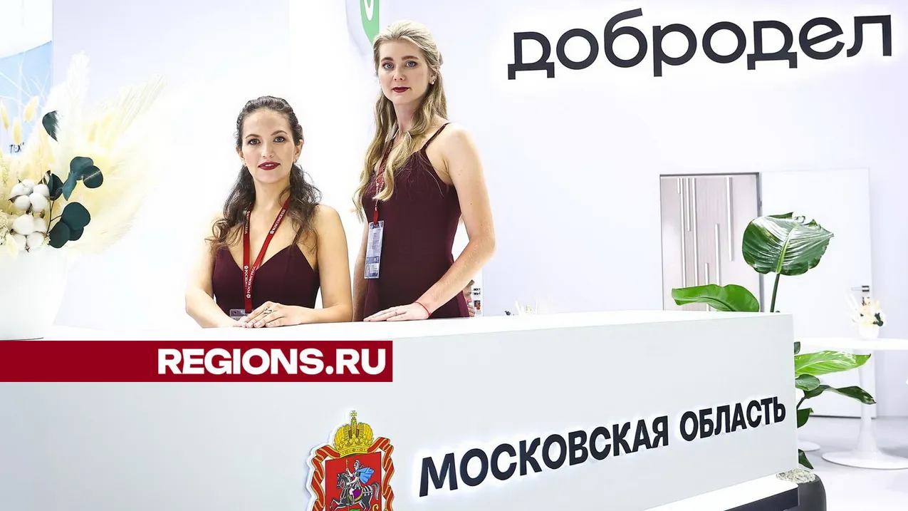 Фото: Медиаархив Подмосковья