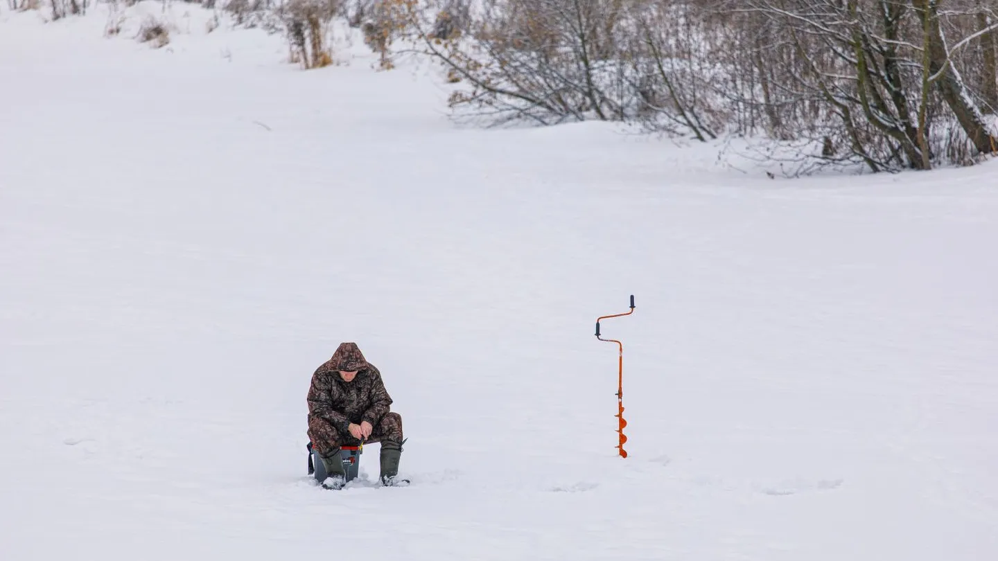 Фото: медиасток.рф