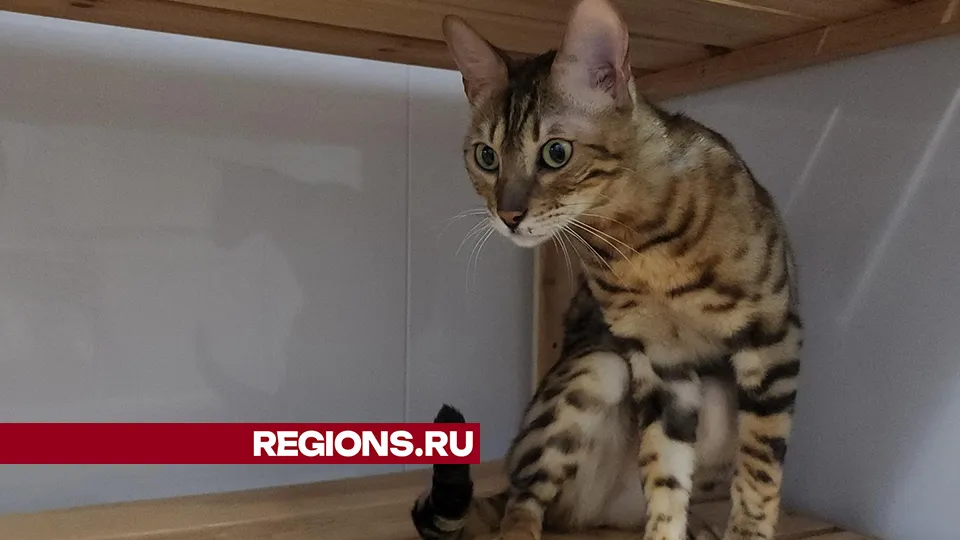 Фото: Юлия Смагринская