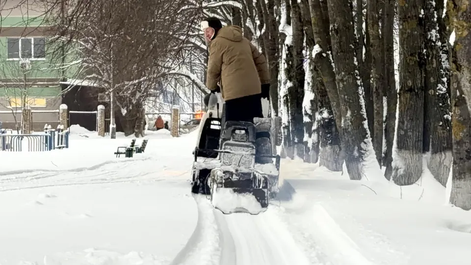 Фото: МедиаБанк Подмосковья/Екатерина Данилина