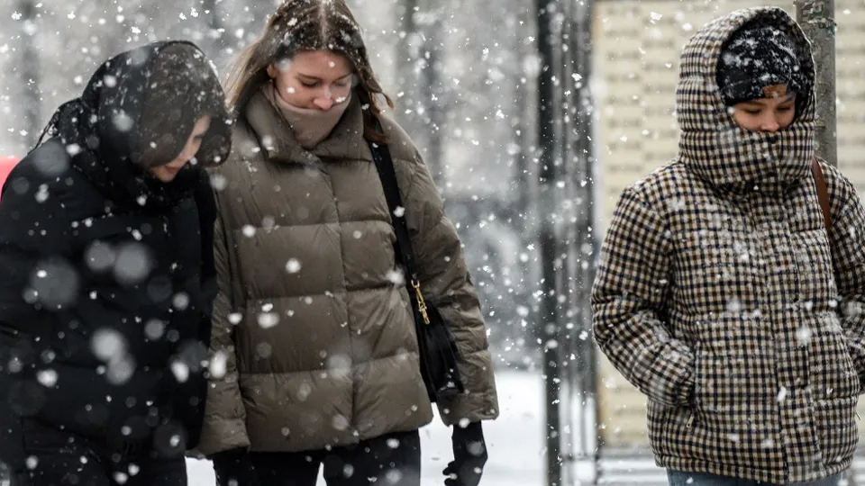 Фото: медиасток.рф