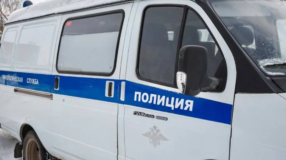 Фото: МУ МВД России «Балашихинское»