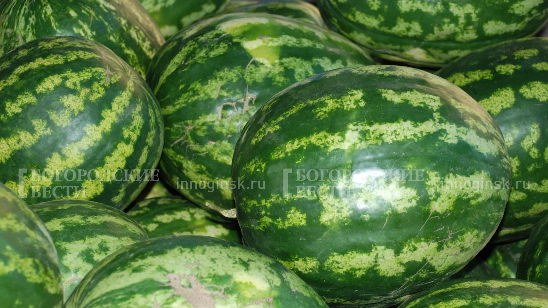 REGIONS/Александр Легкий