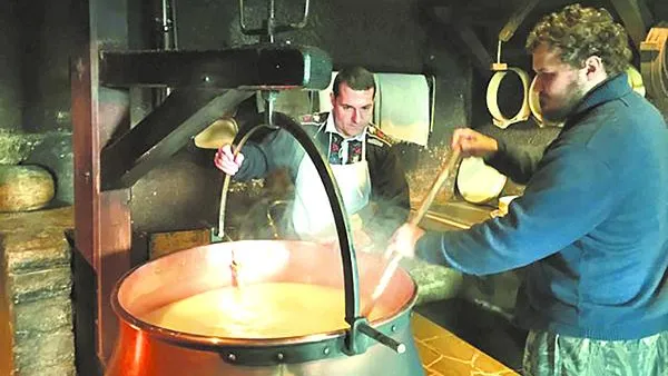 Сирота пармезанская