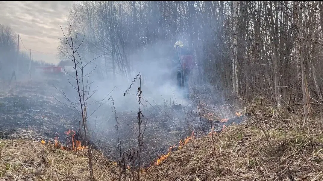 Фото: t.me/gku_mo_mosoblpojspas