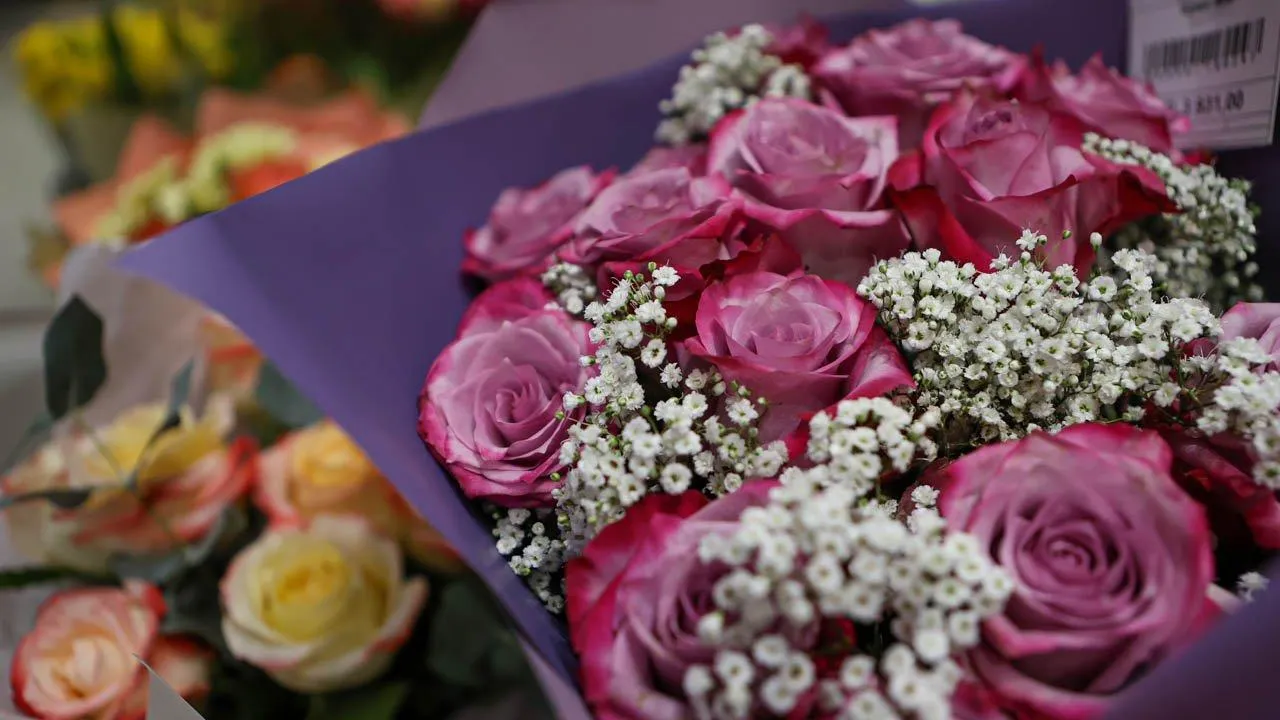 REGIONS/Роман Малышенко