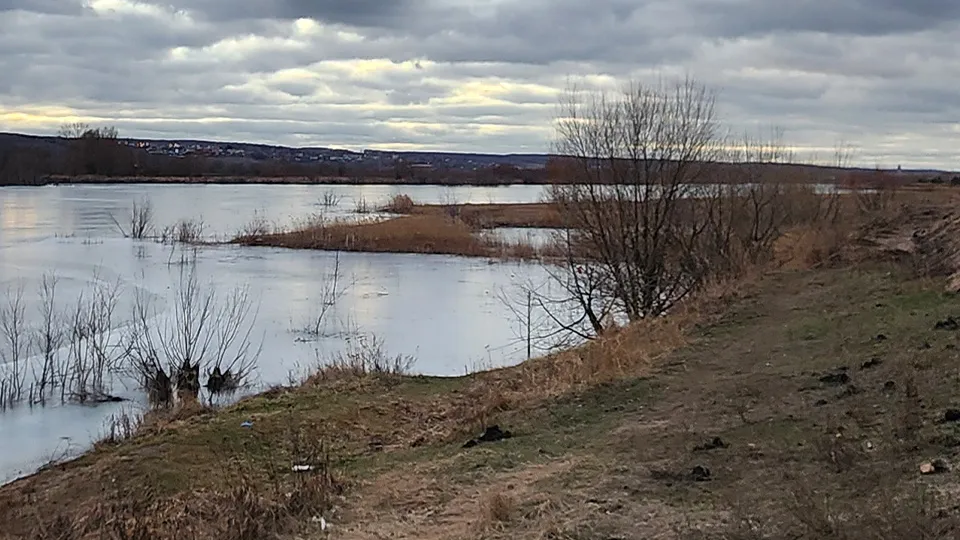 Фото: МедиаБанк Подмосковья/Марина Анисимова