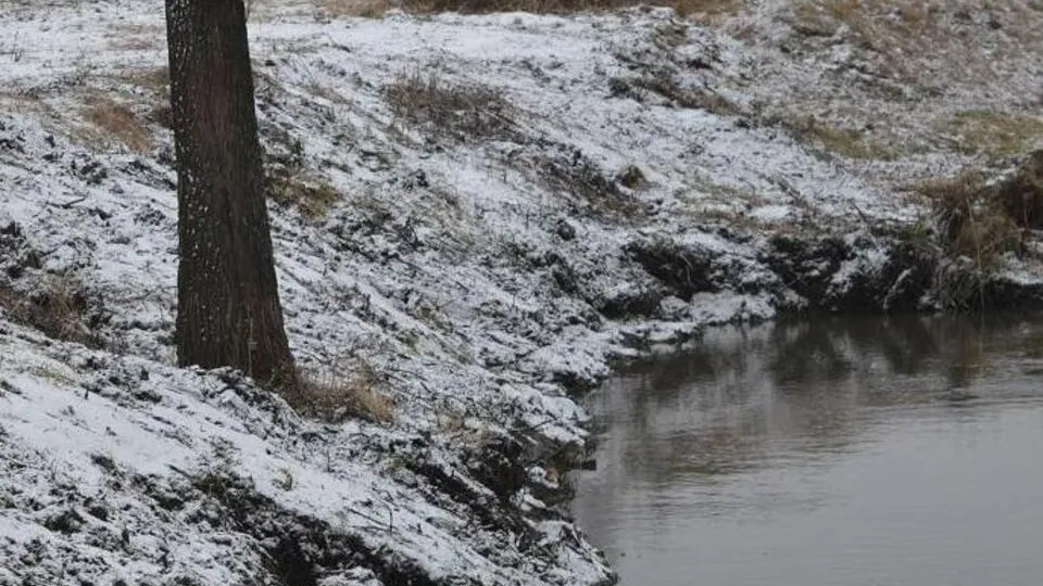 Фото: Министерство экологии и природопользования Московской области