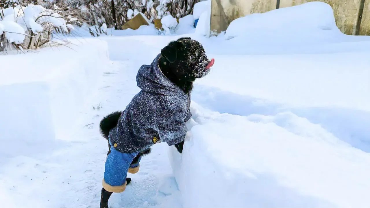 REGIONS/Роман Малышенко