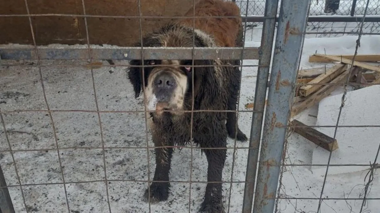 ГКУ МО «Мособлпожспас»