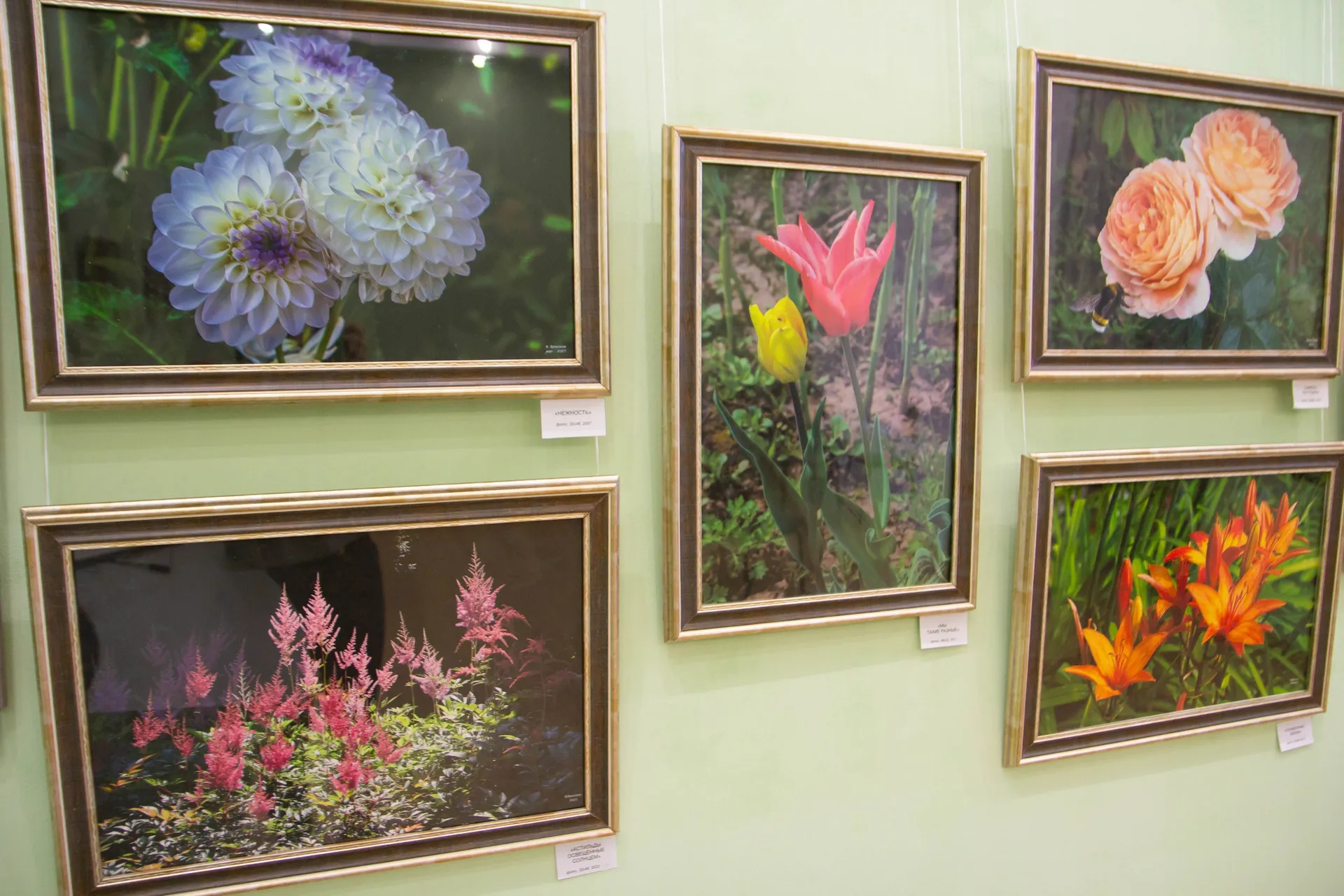 Фото: Централизованная библиотечная система г.о. Зарайск