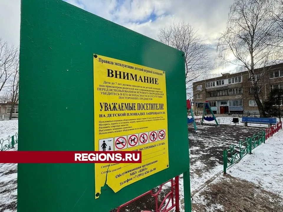 Фото: Светлана Плотникова