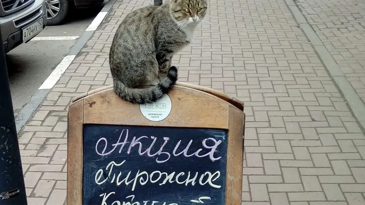 Фото: Типичная Ивантеевка / VK