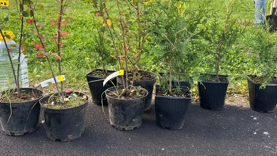 Фото:Медиабанк Подмосковья/Эдуард Стратонов