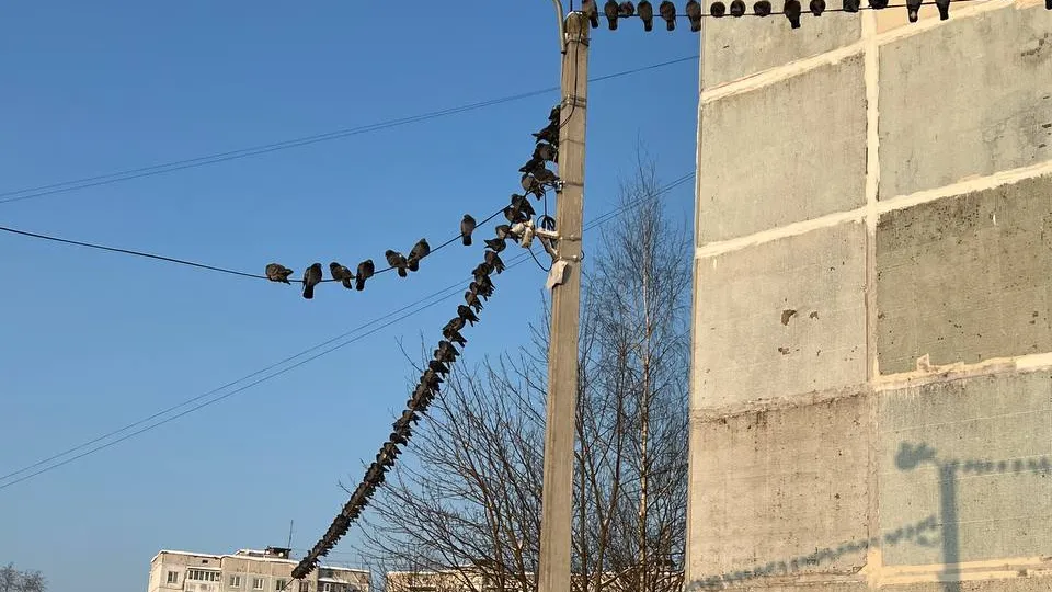 Фото: REGIONS/Виктория Джамалова