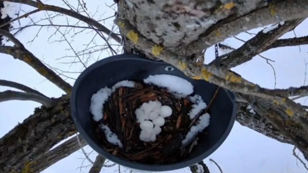 Фото предоставлено Ольгой Гринченко