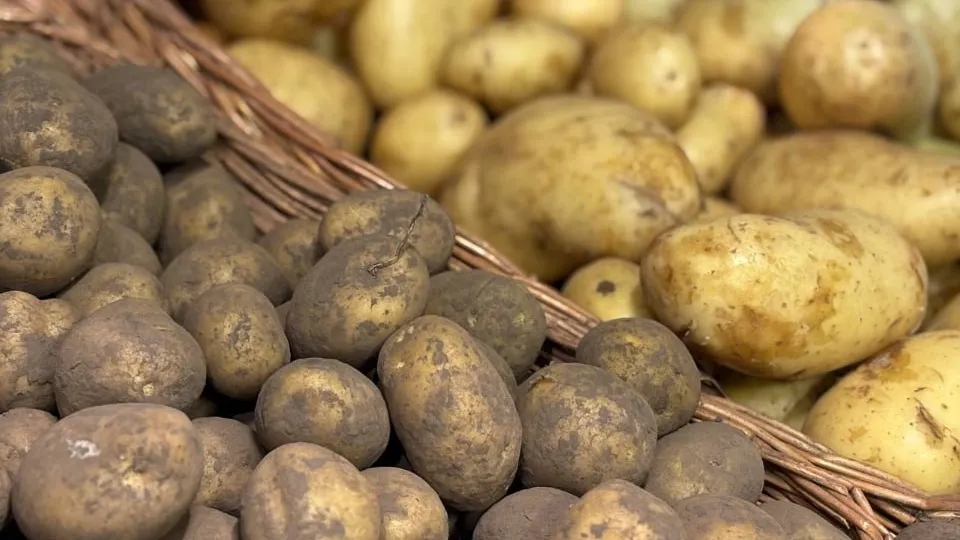 Фото: REGIONS/Полина Крачун