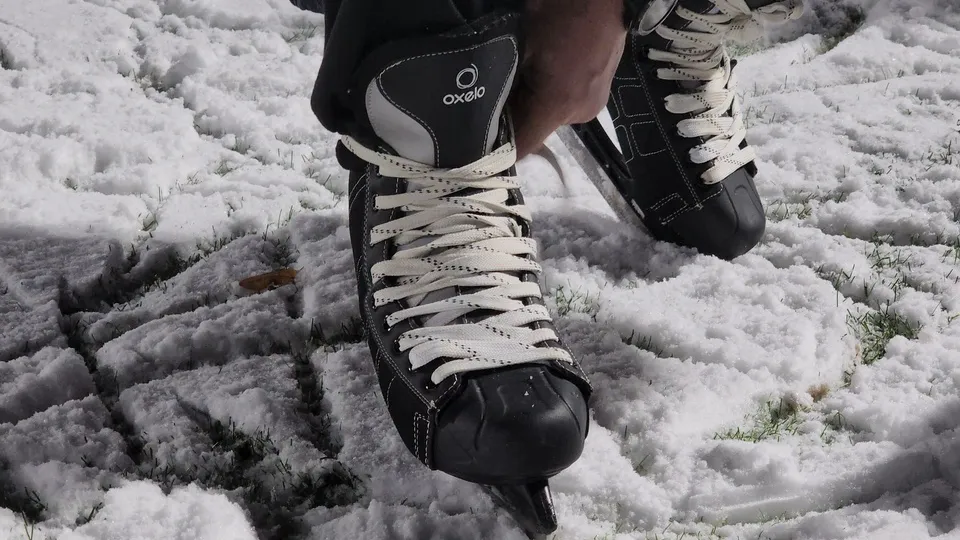 Фото: МедиаБанк Подмосковья/Артем Мишуков