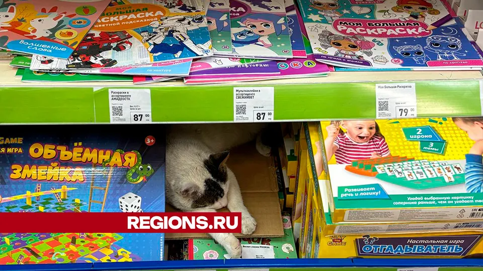 Фото: Дарья Ионова