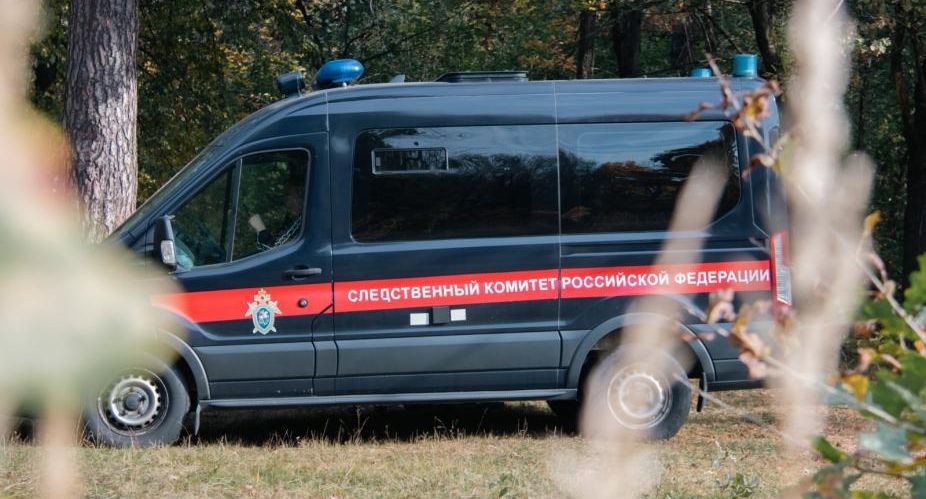 СК: Бастрыкину доложат о расследовании по факту изнасилования ребенка в лагере