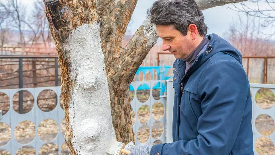 Фото: istockphoto.com/Tat'yana Andreyeva