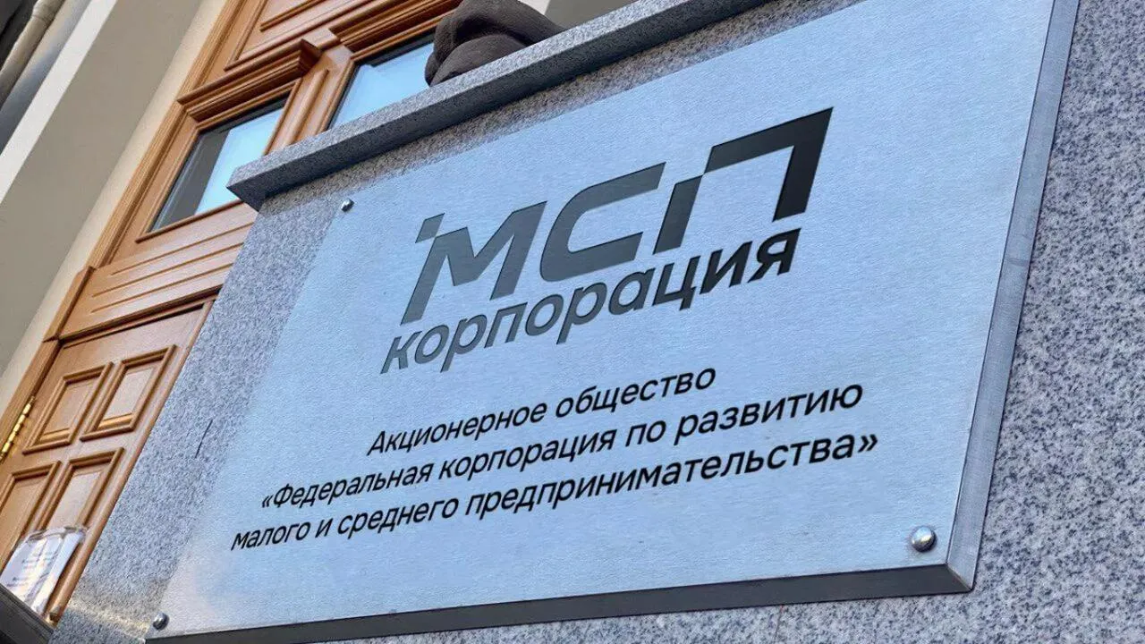 Корпорация МСП