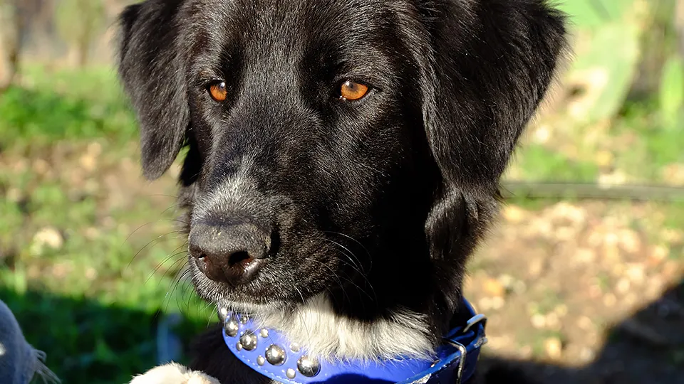 Фото: pxhere.com