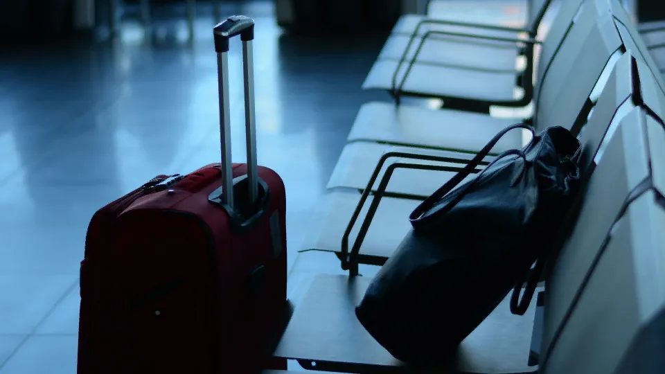 Фото: pxhere.com