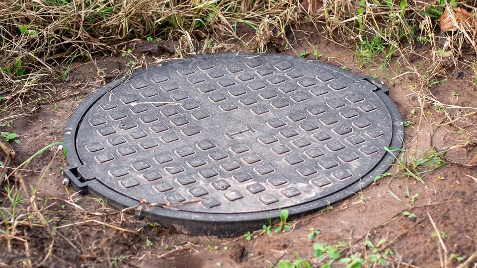 Фото: istockphoto.com