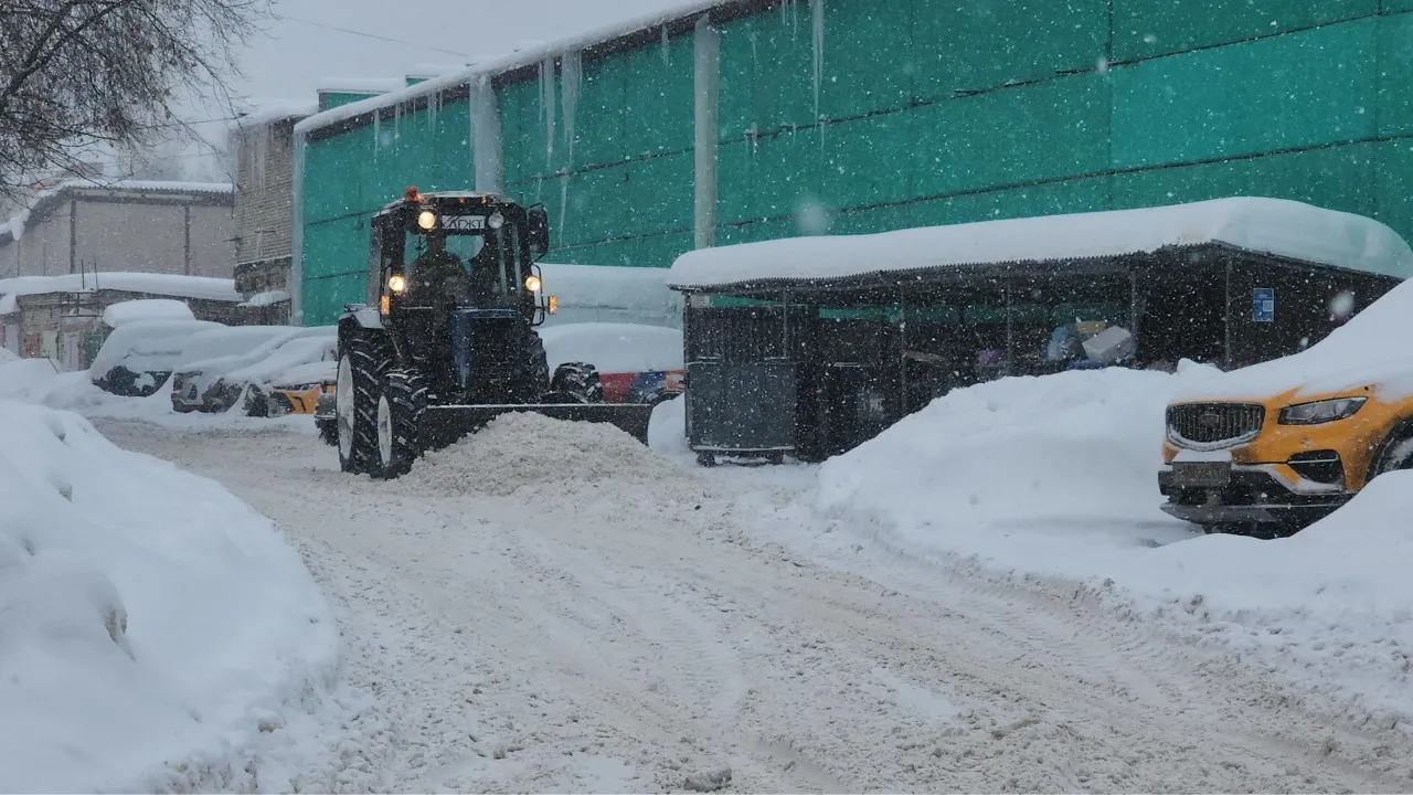 МедиаБанк Подмосковья/Наталья Лымарь