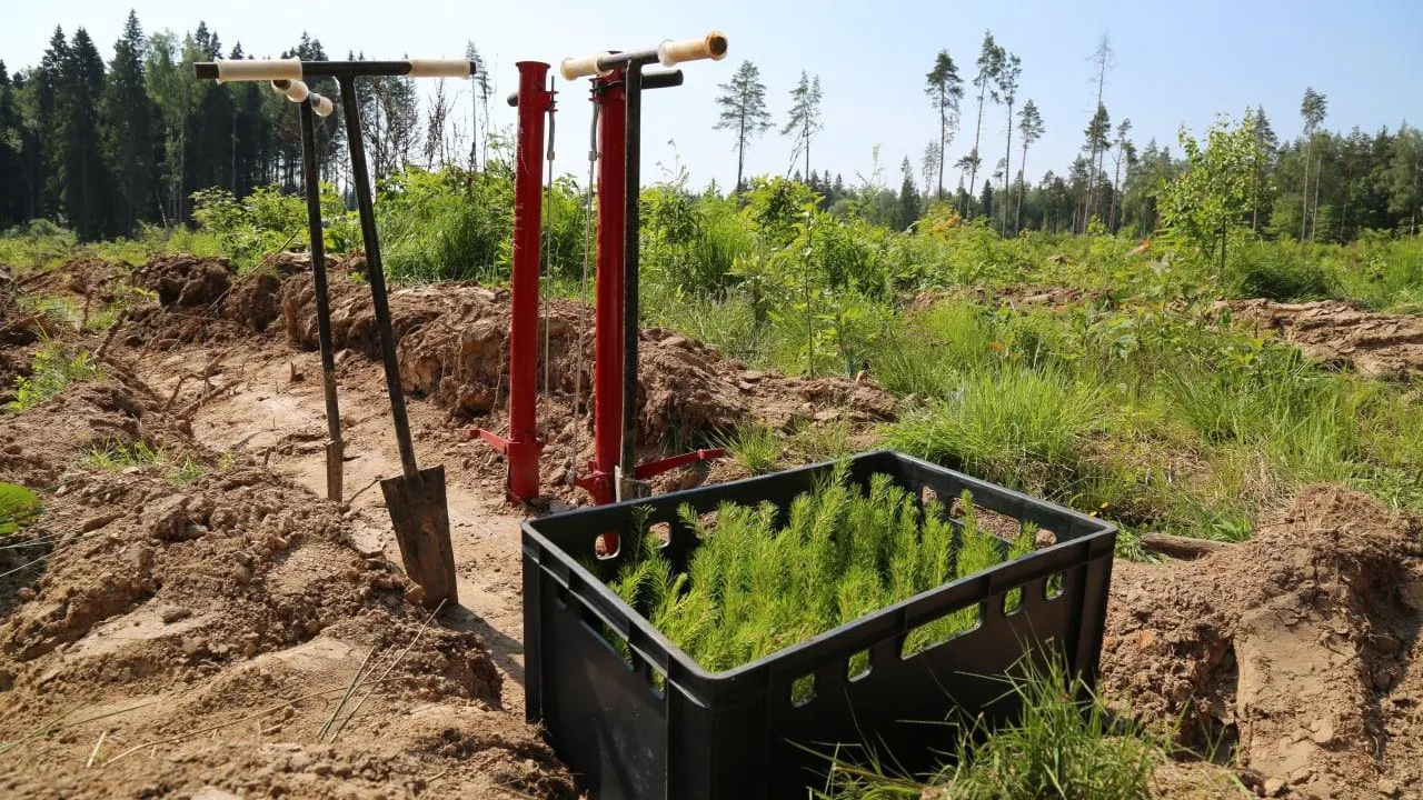 Комитет лесного хозяйства Московской области