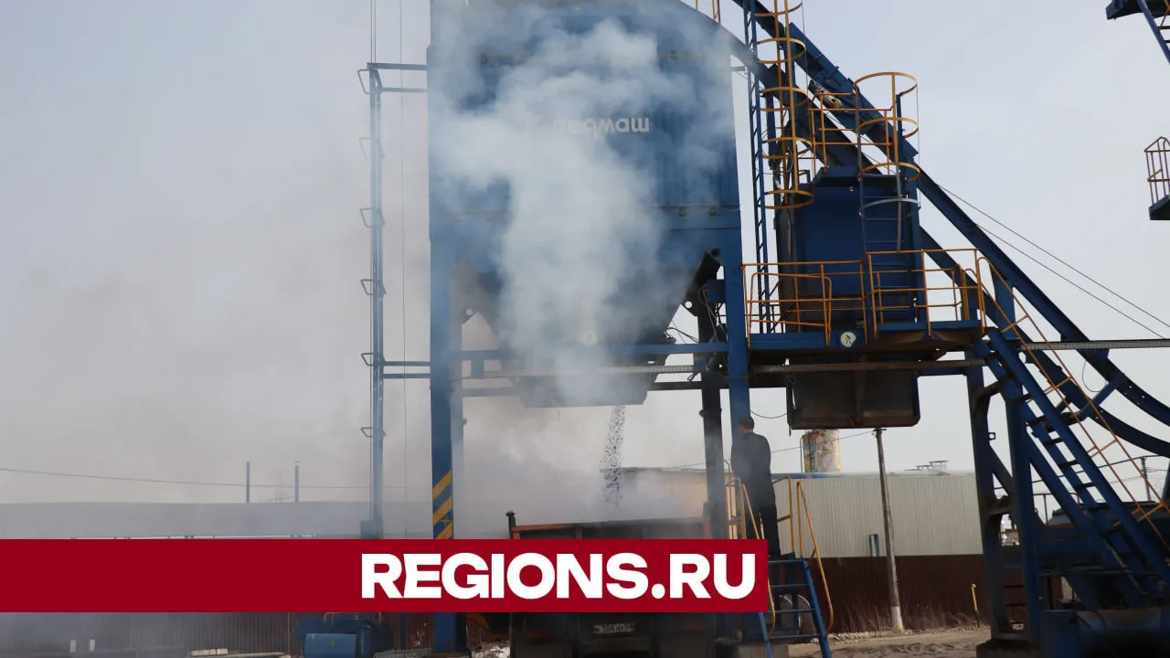 Фото: Василий Тремасов