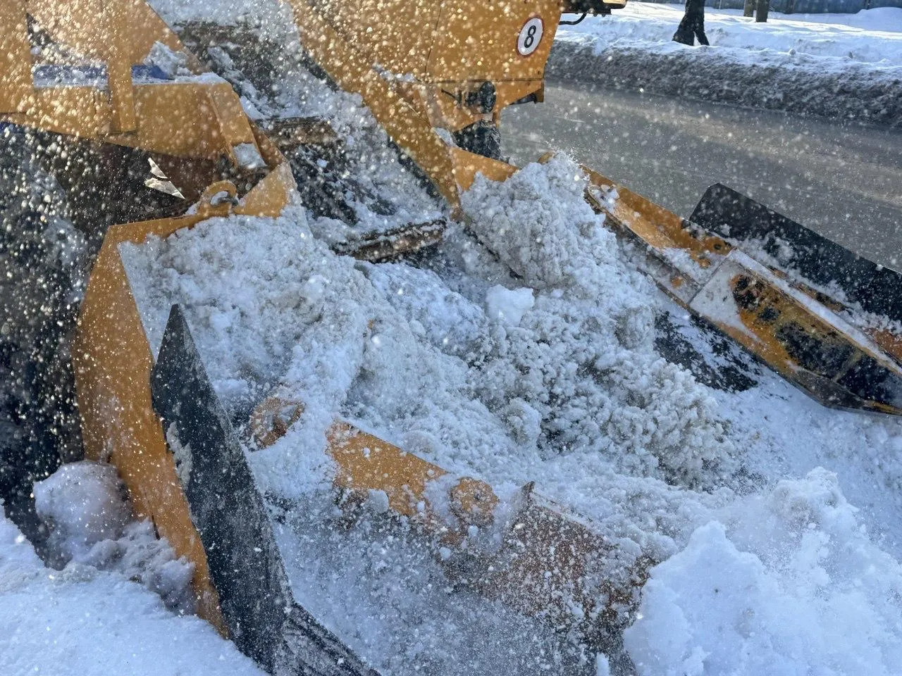 REGIONS/Татьяна Сташенко