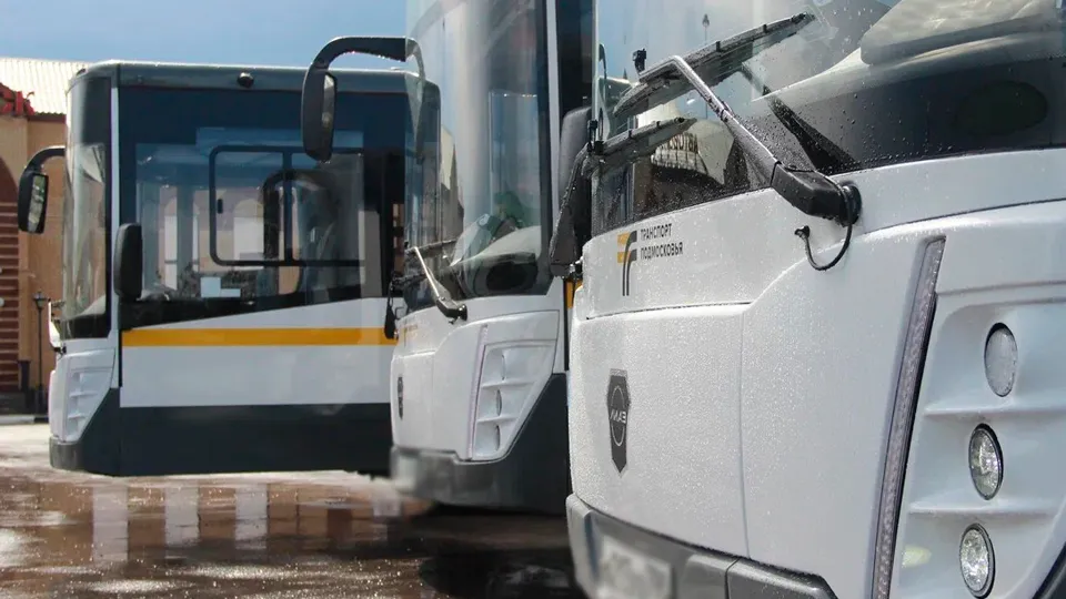 Фото: REGIONS/Василий Тремасов