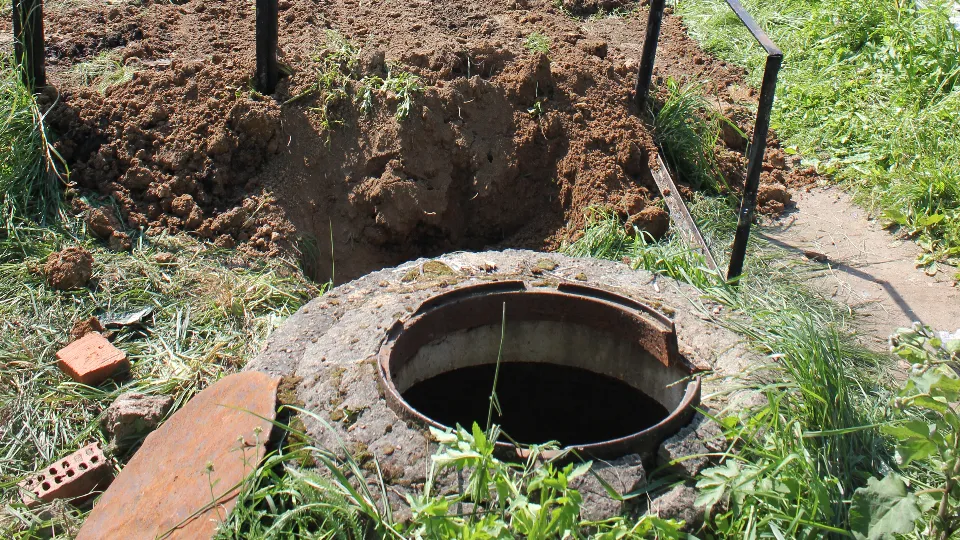 Фото: медиасток.рф