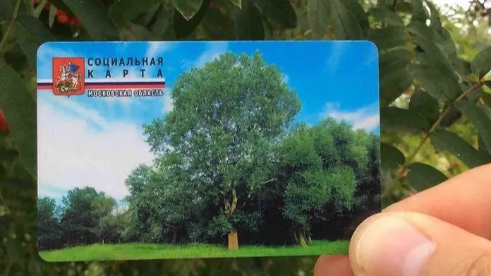 Фото: Минсоцразвития Подмосковья