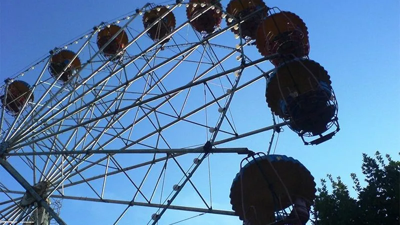 Слухи, что в Химках ради установки нового колеса обозрения вырубят деревья, не подтвердились 