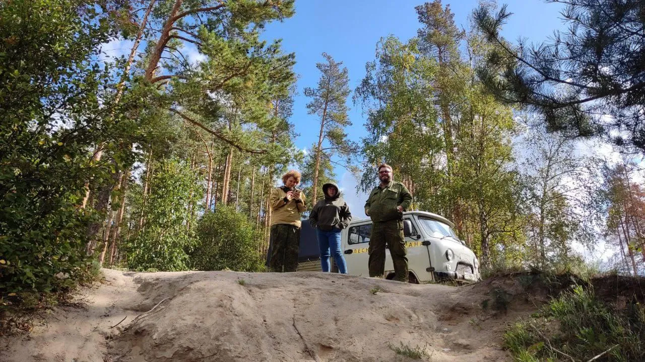 Комитет лесного хозяйства Московской области