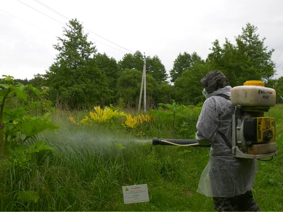 Фото: МедиаБанк Подмосковья/Юлия Андросова