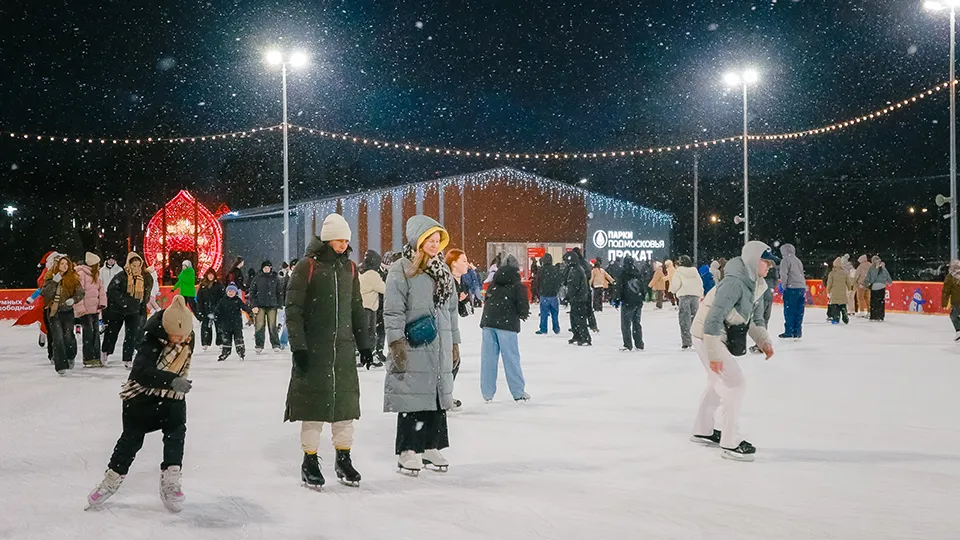 Фото: пресс-служба губернатора и правительства Московской области