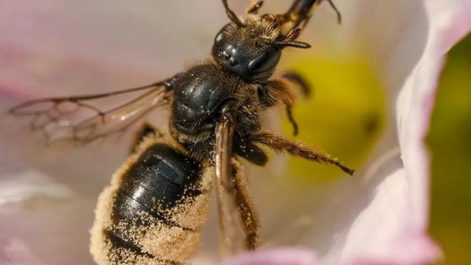 Фото: И. Высоцкий