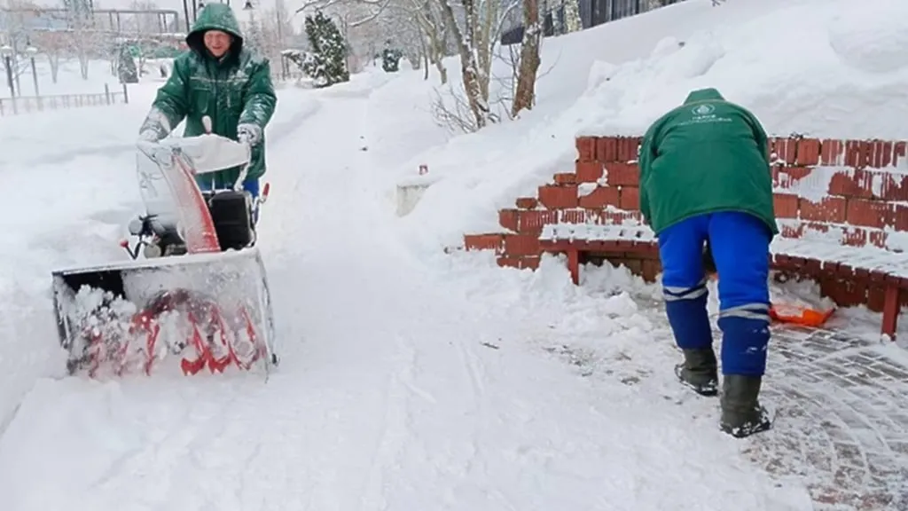 © Пресс-служба Министерства благоустройства Московской области