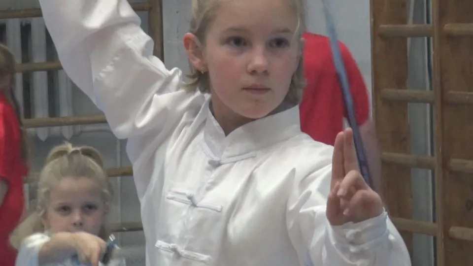 Фото: дмитровский клуб «Шан Ву»