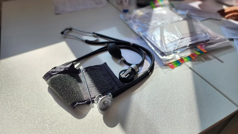 Фото: МедиаБанк Подмосковья/Светлана Плотникова