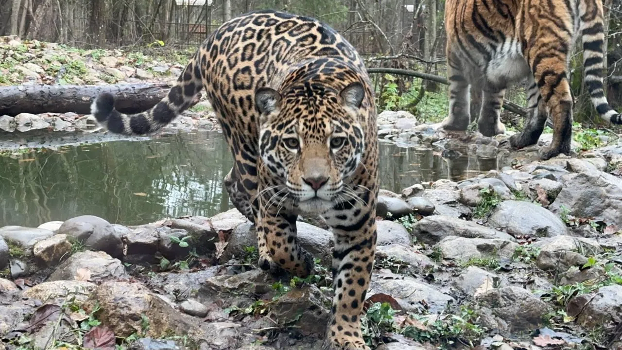 Пресс-служба администрации Можайского муниципального округа