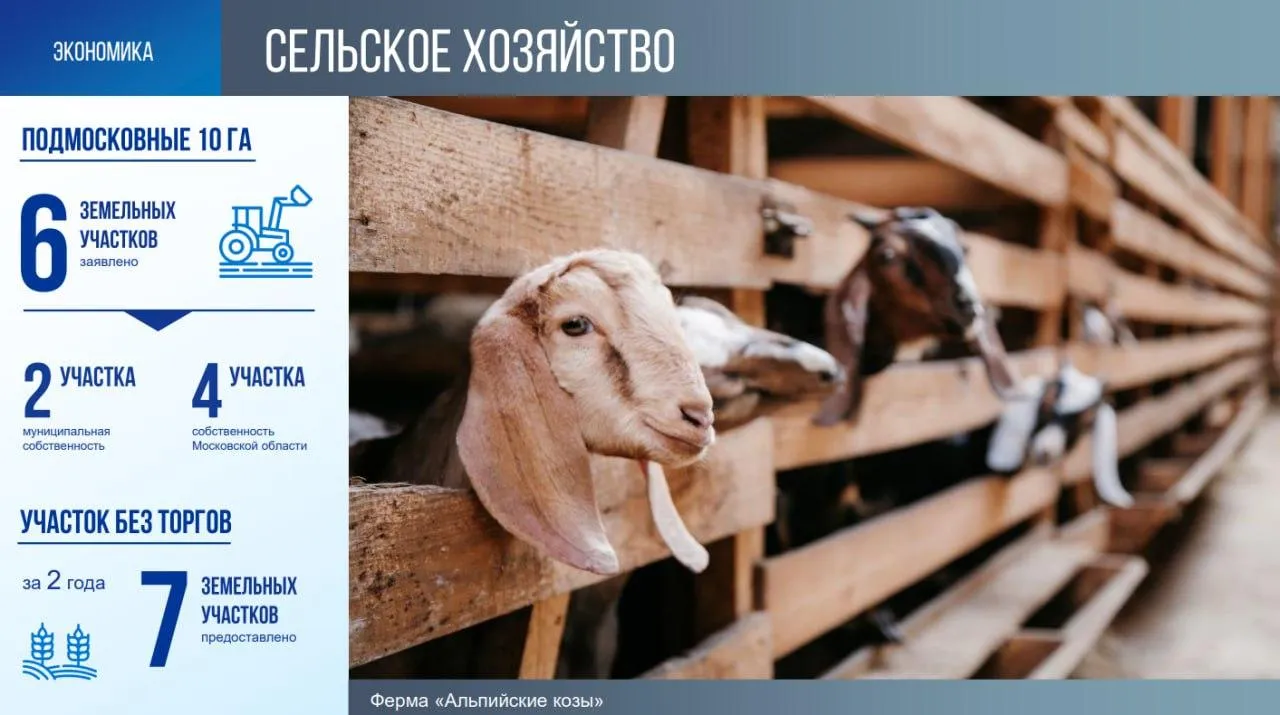 пресс - служба администрации г.о. Чехов