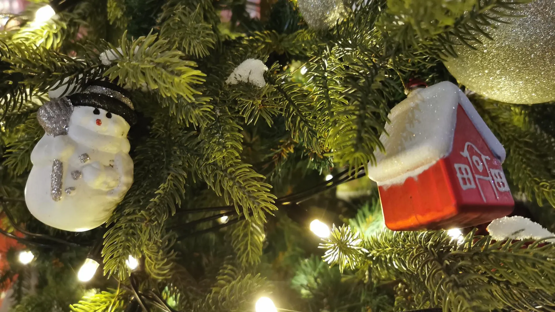 Фото: Евгений Лавряшин